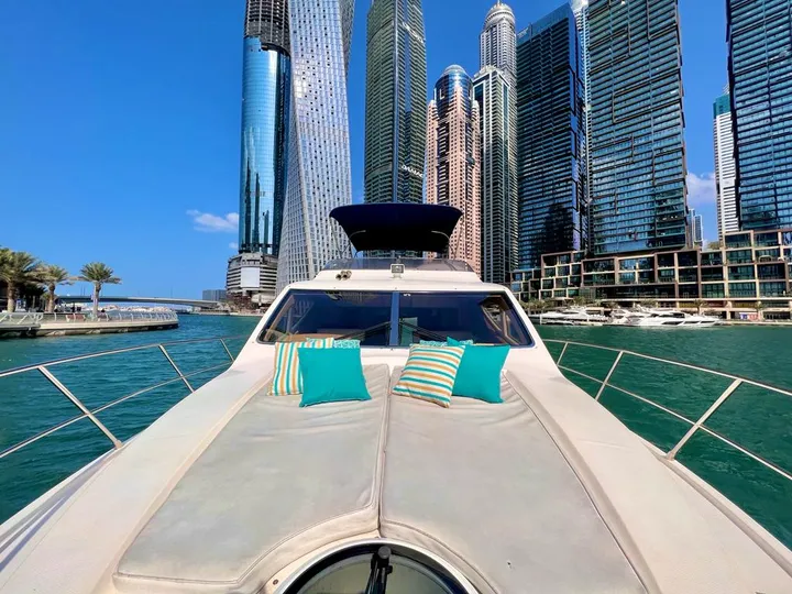 Elite 14 Majesty Vip 44ft — photo 2